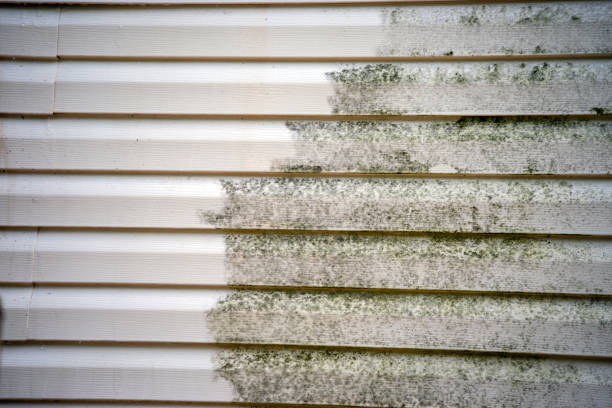 Best Hoarding Cleanup  in Baywood, NY